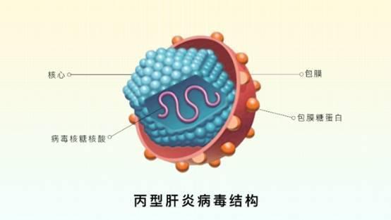 【hcv药物吉三代】丙通沙与吉三代区别是什么啊?能解读下吗?