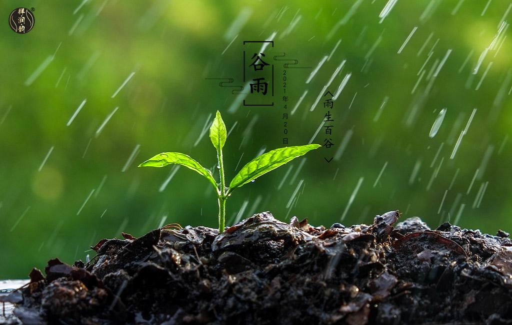 谷雨