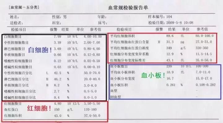 健康杀手,增高的同型半胱氨酸——体检中最容易被忽视