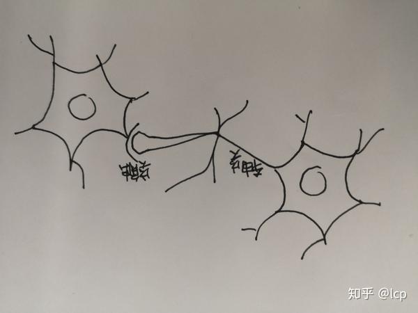 人工神经网络学习笔记11从wmecullochwpitts到冯诺依曼