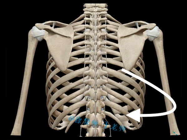 并且右旋的骨盆带动他右侧肋骨也向后旋,两侧胸廓不对称