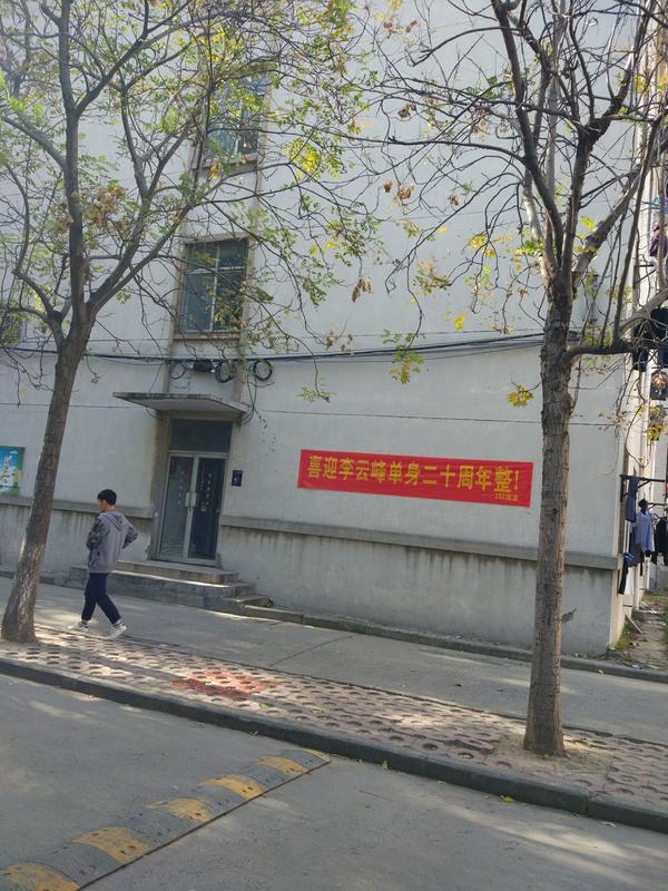 拍照圣地~中心花园 东区花园 西区球场 新乡的妖风,师大人都深有体会