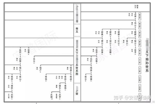 如何使用修谱王软件智能家谱排版