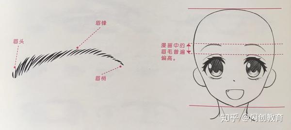 另外画法 6,眉毛的刻画 眉毛的结构 眉毛的类型