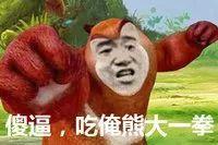 熊出没表情包 - 知乎