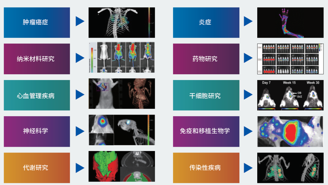 PerkinElmer IVIS Lumina IIIСѧϵͳ