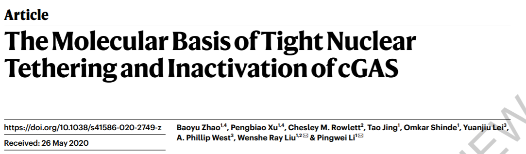 3篇nature2篇science细胞核内cgas和核小体结合并抑