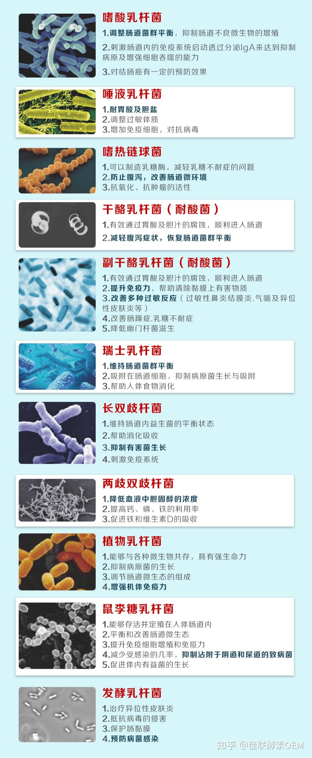 益生菌到底有没有用选对菌株更关键