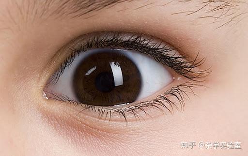 我们中国人常见的瞳孔颜色是褐色,并不是我们常说的黄皮肤黑眼睛,只