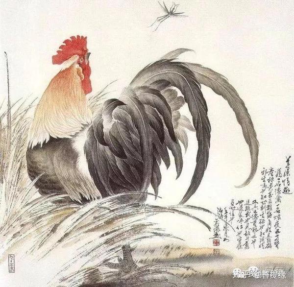 芦花鸡的尾上复羽 先以淡墨画出,逐步加重染成.