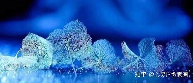 《金钱与财富》| 原来最最正确的财富观是这样的！