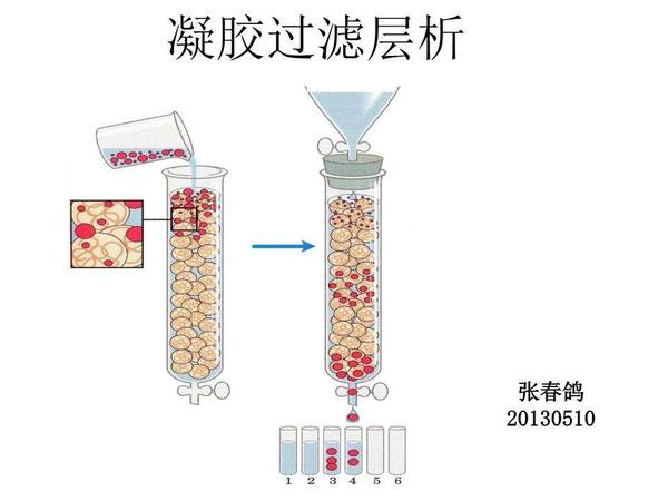 以离子交换层析,凝胶过滤层析最常见. 3