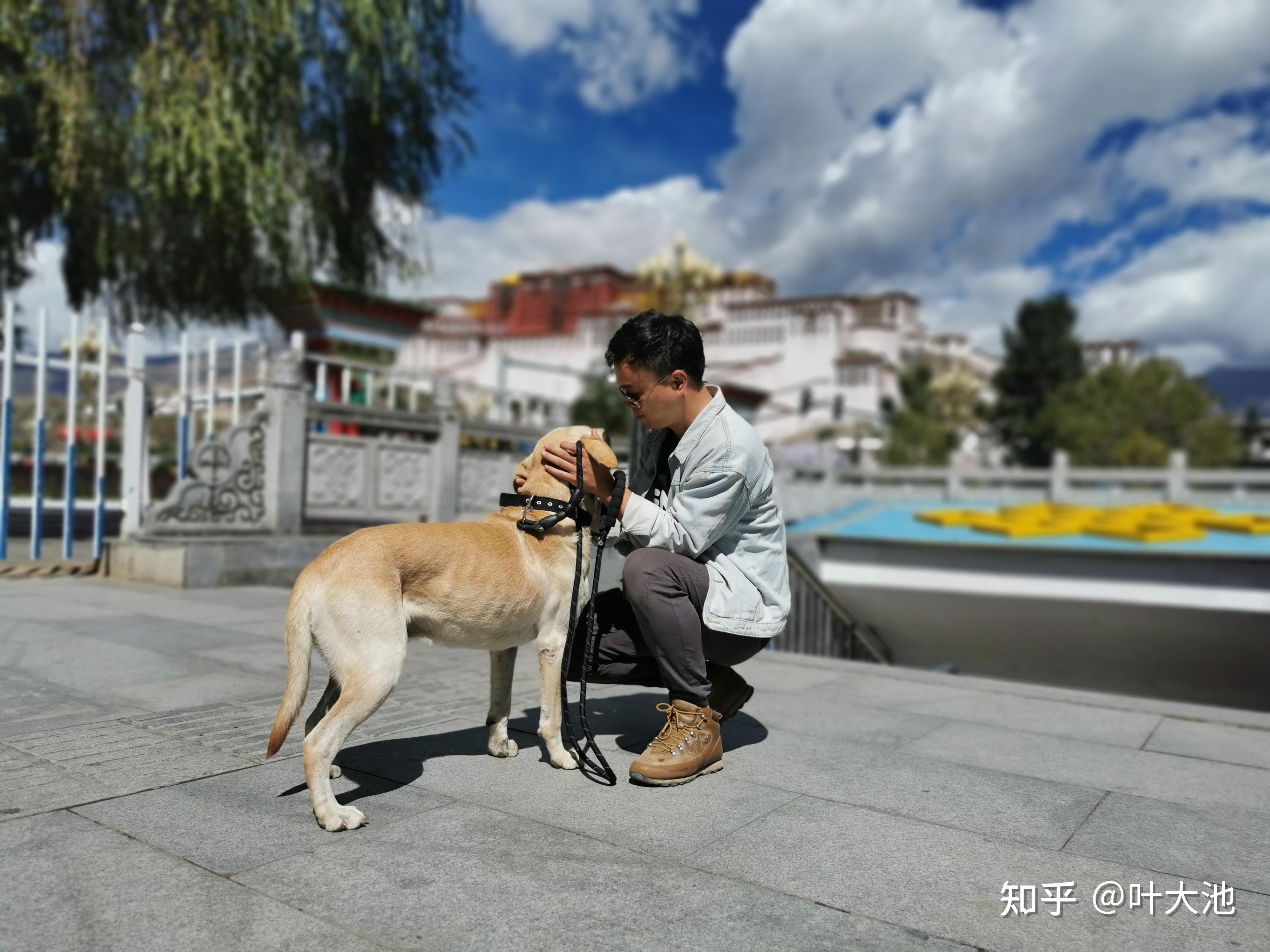 是为梦想是为远方浙江出发一人一狗床车自驾游去西藏