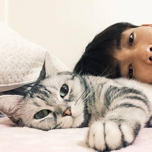 壁纸 动物 猫 猫咪 小猫 桌面 510_510