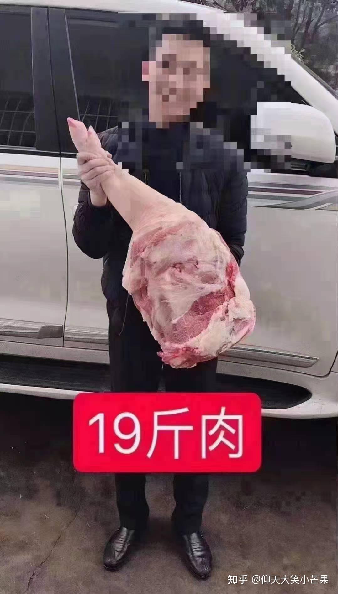 十斤肉是多大一块