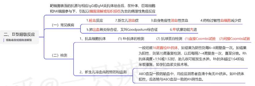 二Ⅱ型超敏反应