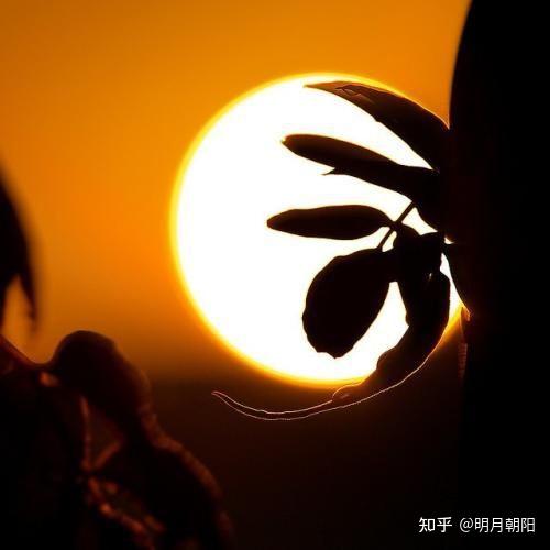 特别想念去世的亲人.怎么办?