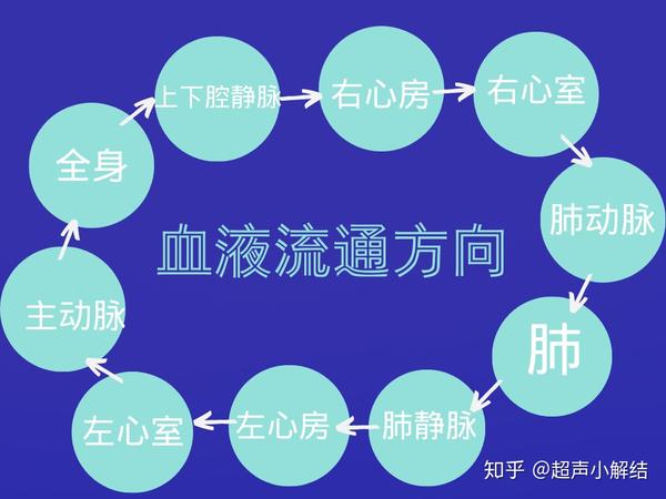 左室舒张功能减低