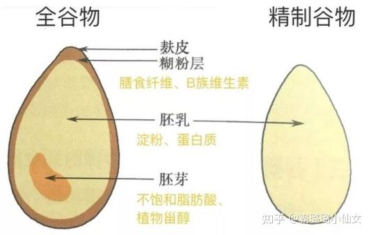 高糖人群用这4个方法吃主食,吃饱还