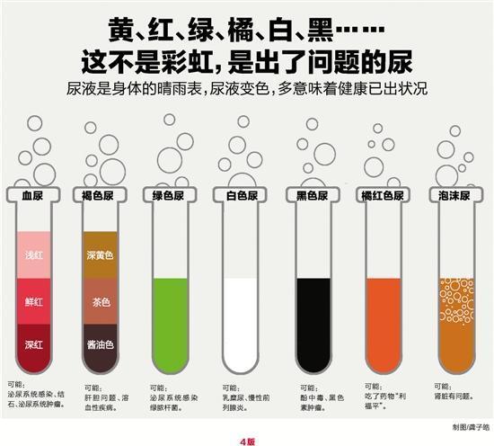 伴侣动物的尿液分析,第1部分:收集,样品处理和初步评估