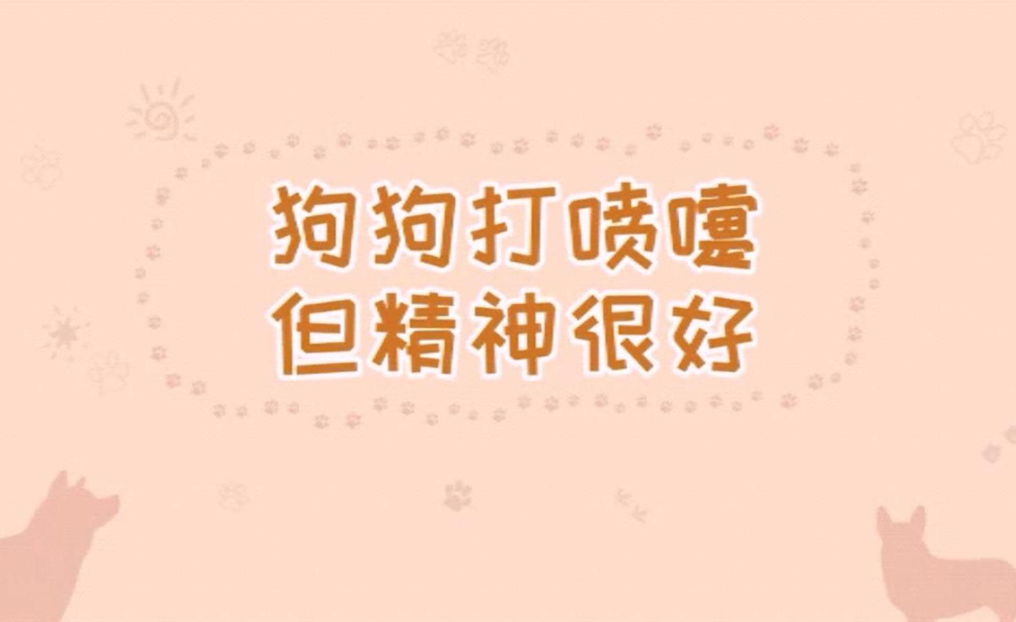 【宠物大学问】狗狗打喷嚏但精神很好怎么回事呢?