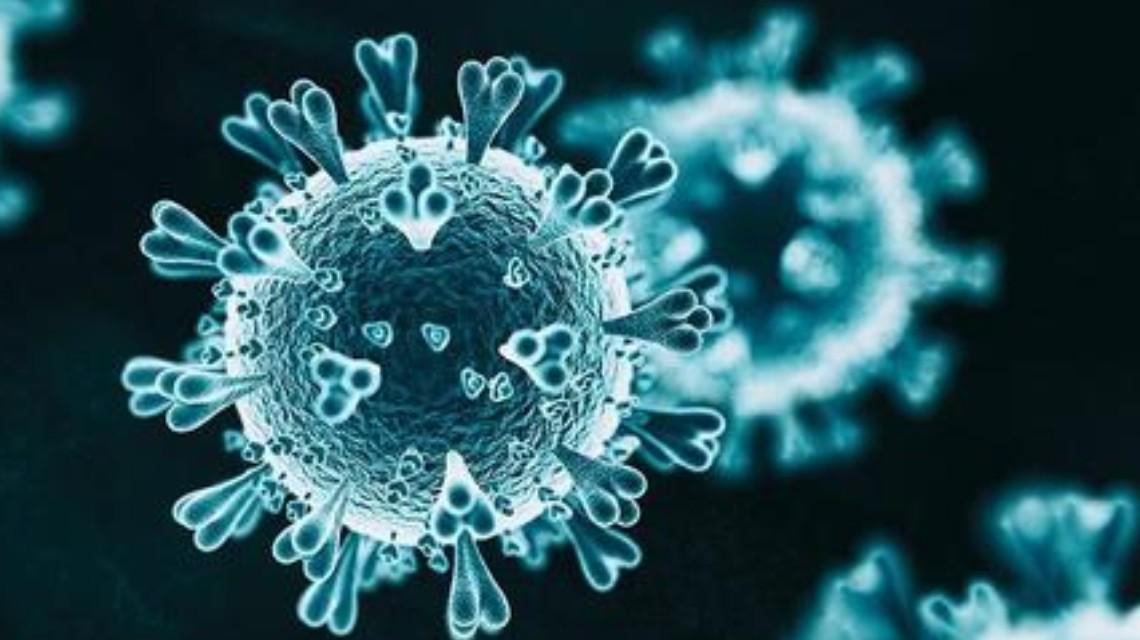 科兴疫苗能抵抗两种变异新冠病毒_专家：新冠病毒变异还远没达到饱和_一女子体内发现18种变异新冠病毒