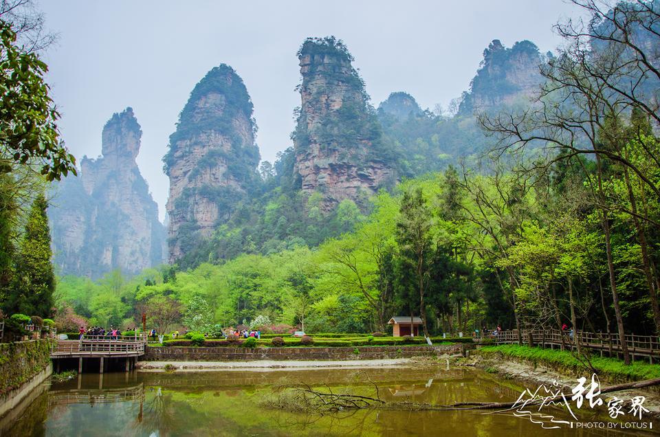 北京到张家界旅游攻略住在哪里比较方便住在哪里比较好