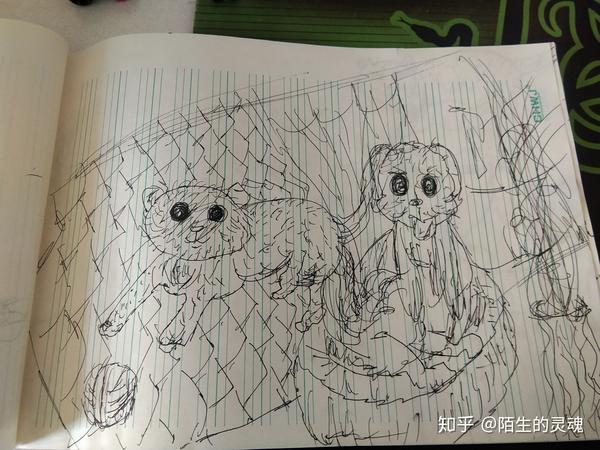 我会画一些奇奇怪怪的画