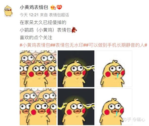 全网最全小鹦鹉表情包合集(阿虚独家资源)