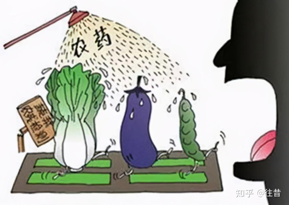 食材中的农药残留,使用食材净化器什么牌子好