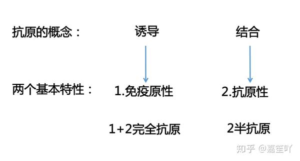 特殊化学基团,是抗原与tcr,bcr或抗体特异性结合的最小结构与功能单位