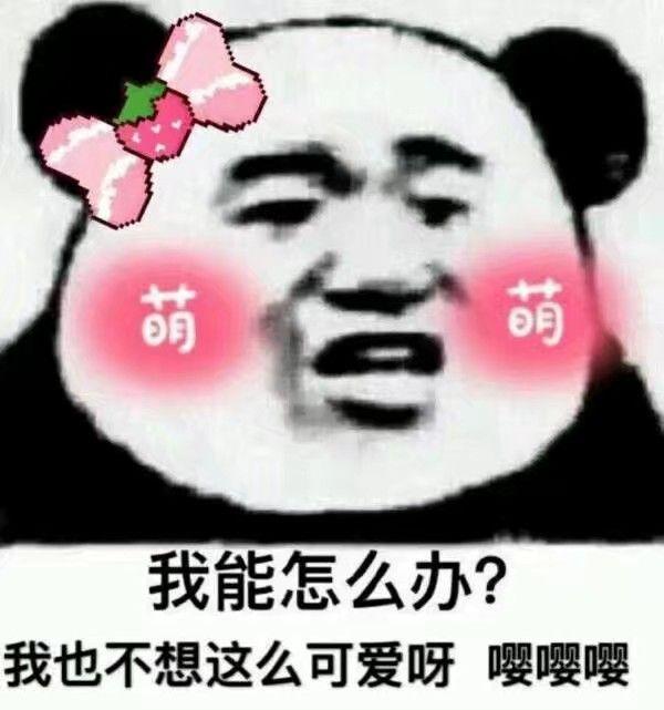 你手机里最搞笑的表情包有哪些(可以关闭水印吗)?非常