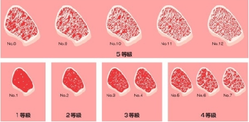 各国牛肉等级区分日本牛肉等级
