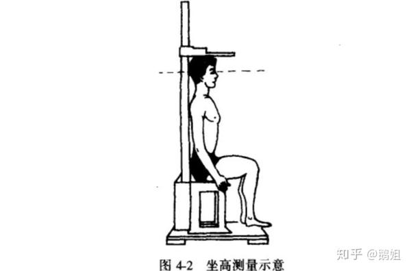 史上最全腿长测量方法汇总