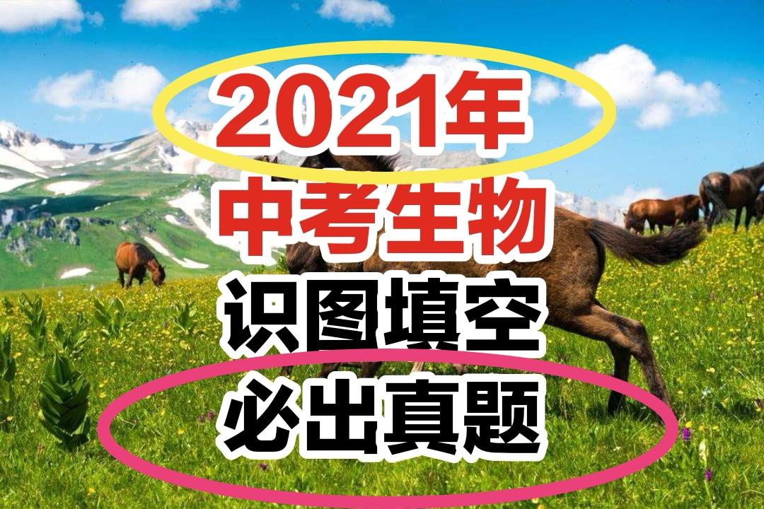 2021年最新,最全,必考 必出生物识图填空,看完,比比人