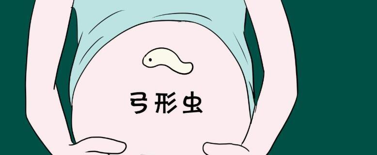 有关弓形虫与孕妇的事实真相是