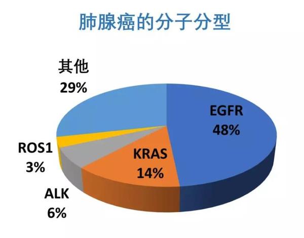 代alk靶向药克唑替尼治疗后效果不佳或者出现耐药的非小细胞肺癌患者