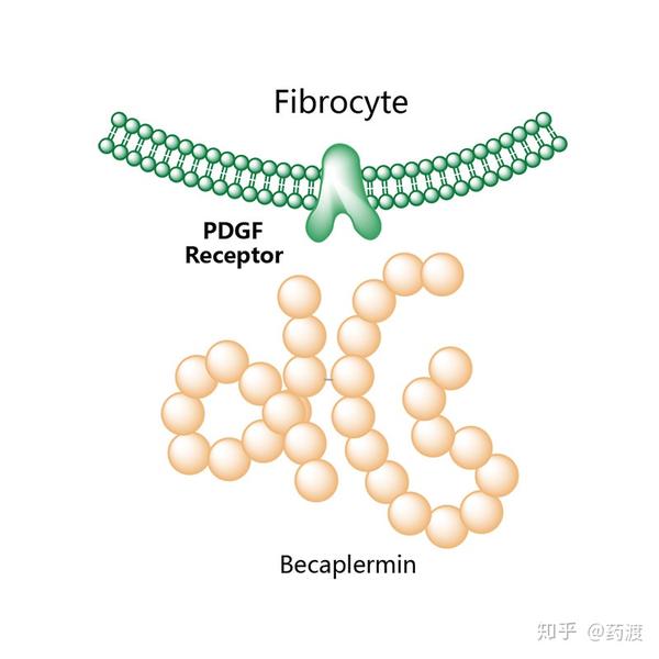 伊马替尼也是血小板衍生生长因子(pdgf),干