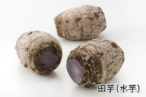 芋头| 日本的里芋,海老芋,芋茎都是啥?