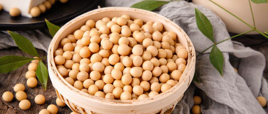 大豆分离蛋白,你了解吗
