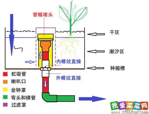 虹吸钟制作及答疑