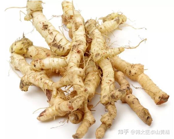 到底泰山黄精好,还是九华山黄精好呢?