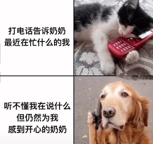 今日份~沙雕趣图!(2021.7.25)