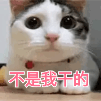 你最常用哪些有意思的表情包?