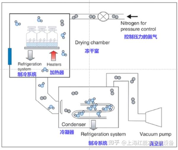 真空冷冻干燥机在化妆品上的应用
