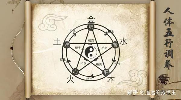 人体内的五行 人体内的五行分为金水木火土,依次相生.
