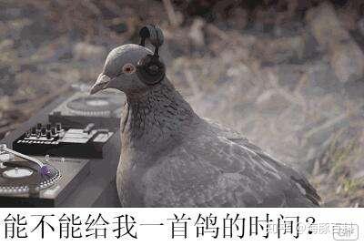 古人的微信飞鸽传书