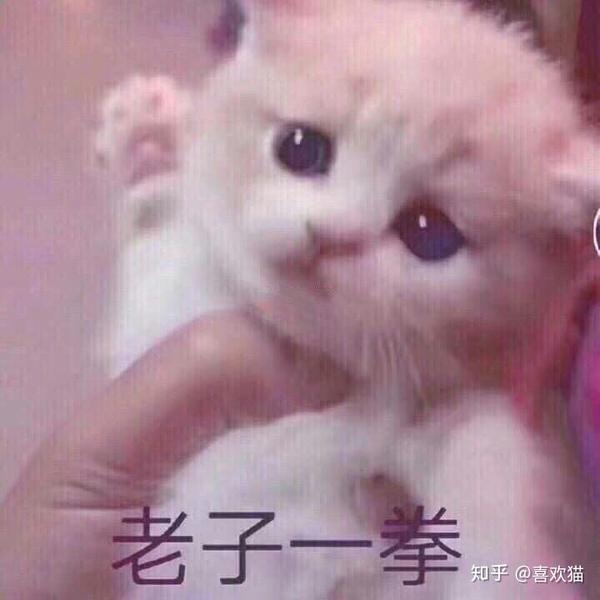 到底什么是奶凶?