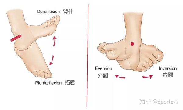 足部疼痛地图教你对图自查