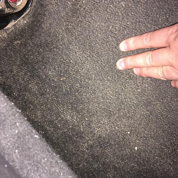 再用手触摸车内地毯,有一种被水洗过又干的感觉,摸起来涩涩干干的,不
